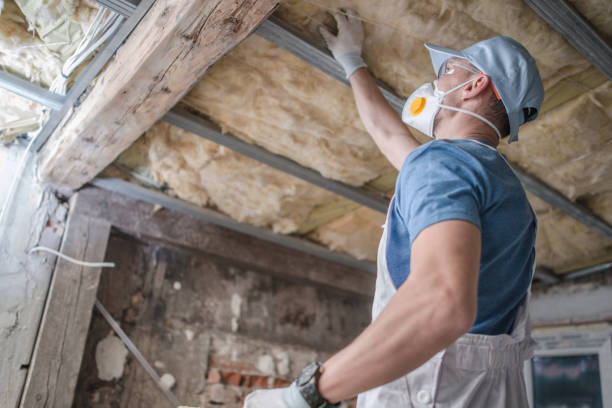 Best Insulation Inspection Services  in Niverville, NY